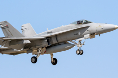 Finnish AF McDonnell Douglas F/A-18C 'Hornet'