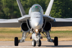 Finnish AF McDonnell Douglas F/A-18C 'Hornet'