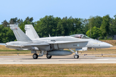 Finnish AF McDonnell Douglas F/A-18C 'Hornet'