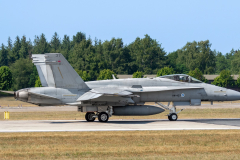 Finnish AF McDonnell Douglas F/A-18C 'Hornet'