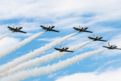 6x Aero L-39 Albatros [Patrouille Breitling]