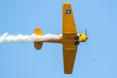 North American SNJ-5 'Texan' (23) with pigeon