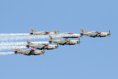 6x Polish AF PZL 130 'Orlik' [Orlik Aerobatic Team]