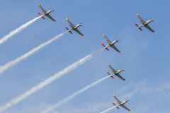 6x Polish AF PZL 130 'Orlik' [Orlik Aerobatic Team]