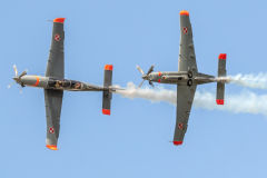 2x Polish AF PZL 130 'Orlik' [Orlik Aerobatic Team]