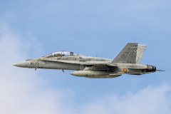 Spanish AF McDonnell Douglas EF-18B 'Hornet'