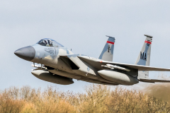 US ANG McDonnell Douglas F-15C 'Eagle'