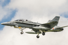 Spanish AF McDonnell Douglas EF-18B 'Hornet'