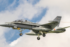 Spanish AF McDonnell Douglas EF-18B 'Hornet'