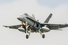 Spanish AF McDonnell Douglas EF-18A+ 'Hornet'