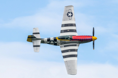 North American P-51D 'Mustang' "Damn Yankee"