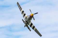 North American P-51D 'Mustang' "Damn Yankee"