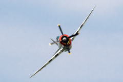 Republic P-47D 'Thunderbolt' "Nellie B"