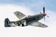 North American P-51D 'Mustang' "The Shark"