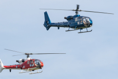 Westland Gazelle AH-1 (blue) and Westland Gazelle HT.2 (red)