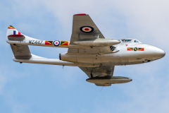 De Havilland Vampire T.55