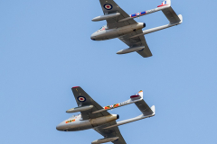 De Havilland Vampire T.55 (WZ447) and De Havilland Vampire FB.52 (VZ305)