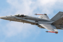 Finnish AF McDonnell Douglas F-18C 'Hornet'