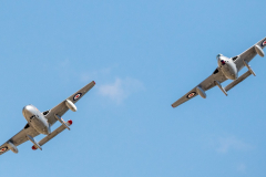 De Havilland Vampire T.55 (WZ447) and De Havilland Vampire FB.52 (VZ305)