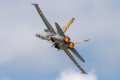 Swiss AF McDonnell Douglas F/A-18C 'Hornet'