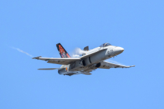 Spanish AF McDonnell Douglas EF-18A+ 'Hornet'