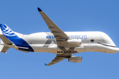 Airbus A330-743L 'Beluga XL' (F-WBXL) [Airbus SAS]