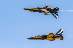 2x Korea Aerospace Industries (KAI) T-50B [The Black Eagles - Republic of Korea AF]