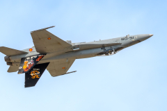 Spanish AF McDonnell Douglas EF-18A 'Hornet'