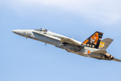 Spanish AF McDonnell Douglas EF-18A 'Hornet'