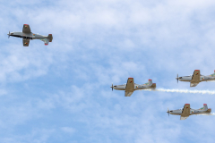 4x Pilatus PC-9M [The Silver Swallows - Irish Air Corps]