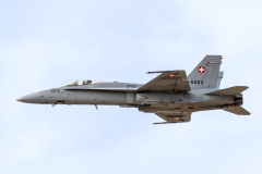 Swiss AF McDonnell Douglas F/A-18C 'Hornet'