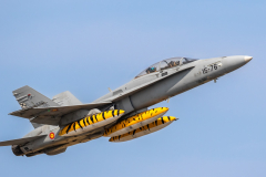 Spanish AF  McDonnell Douglas CE-15 'Hornet' (EF-18B+)