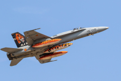 Spanish AF McDonnell Douglas EF-18A 'Hornet'