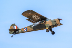 Auster AOP6 [private]