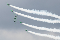 Saudi AF 'Saudi Hawks'