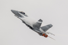 Finnish AF McDonnell Douglas F/A-18C 'Hornet'