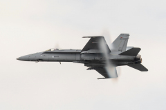 Finnish AF McDonnell Douglas F/A-18C 'Hornet'