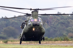 Netherlands AF Boeing CH-47D 'Chinook'