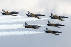 Aero L-39 'Albatros' - Breitling Jet Team [France]