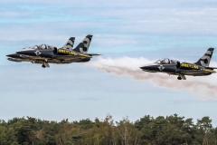 Aero L-39 'Albatros' - Breitling Jet Team [France]