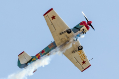 Yakovlev Yak-52 - Dutch Thunder Yaks [The Netherlands]