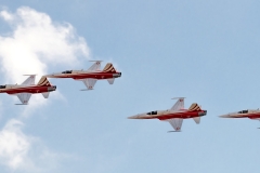 Northrop F-5E Tiger II - Patrouille Suisse [Swiss AF]