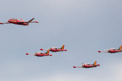 SIAI-Marchetti SF-260M - The Red Devils [Belgian AF]