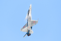 Swiss AF McDonnell Douglas F/A-18C 'Hornet'