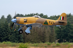 Hawker 'Fury' ISS (landbased version-in Iraqi colour scheme)