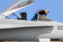 Swiss AF McDonnell Douglas F/A-18C 'Hornet'